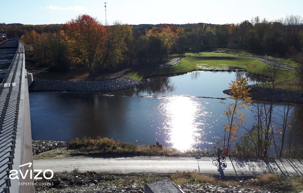 Frayère artificiel près d'un pont