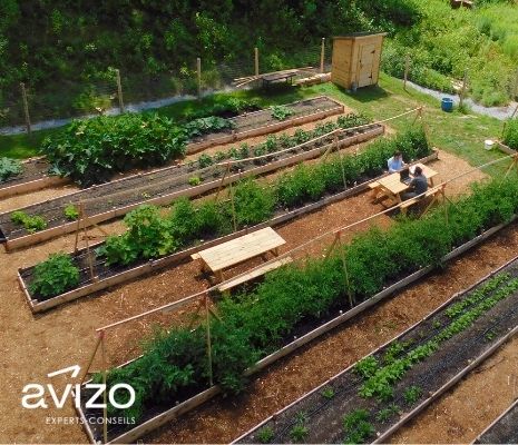 A vegetable garden with picnic tables and office employees in a meeting