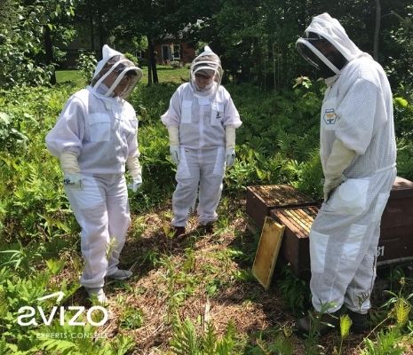 Three beekeepers in protective gear near beehives