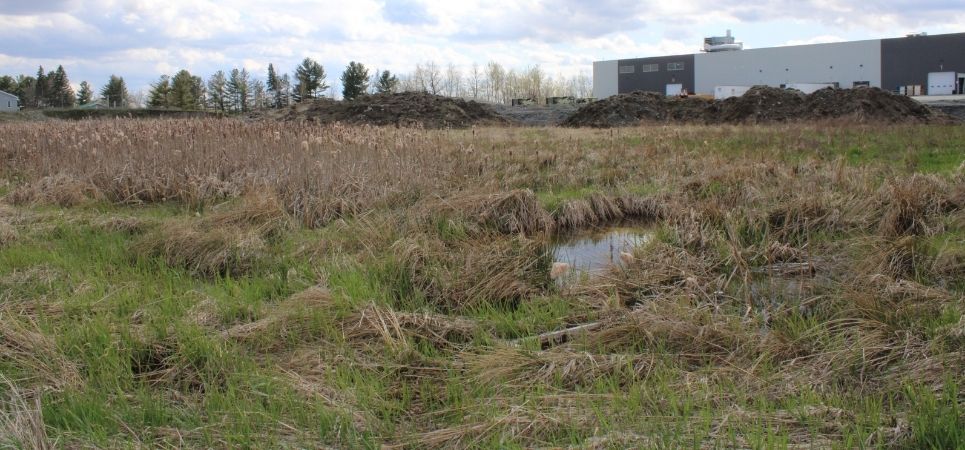 Un terrain à développer dans un parc industriel