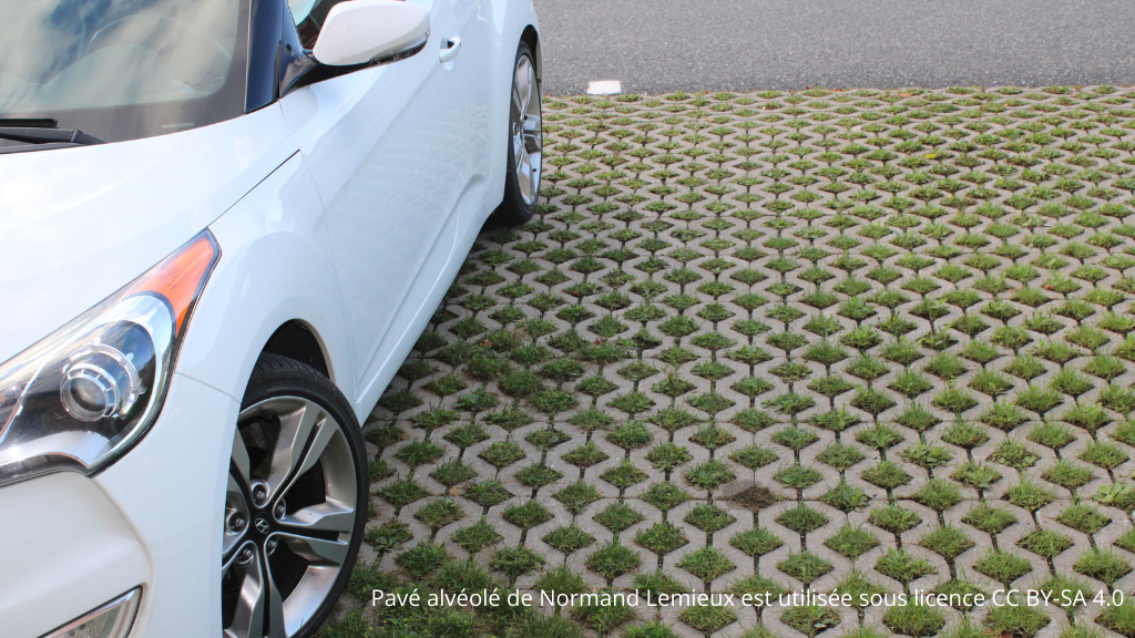 Une voiture blanche est stationnée sur un pavé de béton alvéolé. Les alvéoles débordent de gazon.