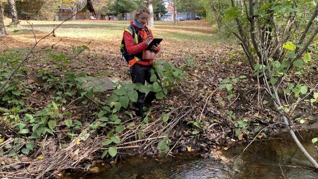 Une ingénieure consulte sa tablette lors de la visite terrain d'un milieu hydrique, un ruisseau.