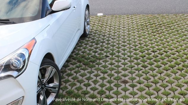 Une voiture blanche stationnée sur un pavé de béton alvéolé. Les alvéoles sont remplies de gazon.