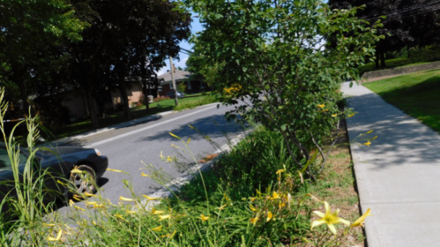 Une noue végétalisée située en bordure de route