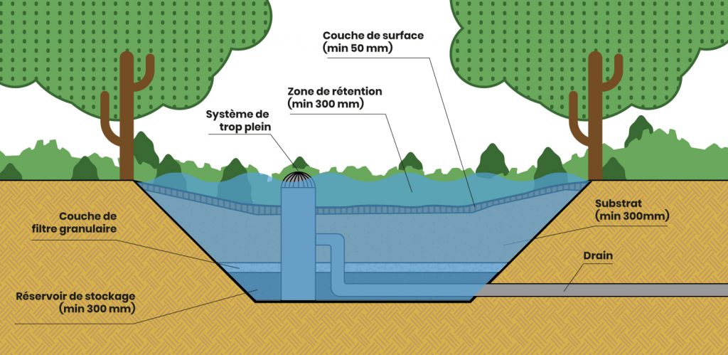 Schémas en coupe d'un aire de biorétention