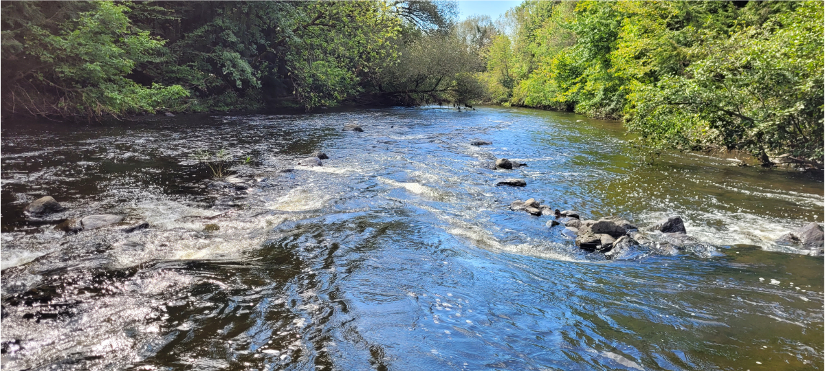 Rivière Avizo