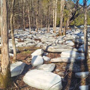 Blocs_de_glace