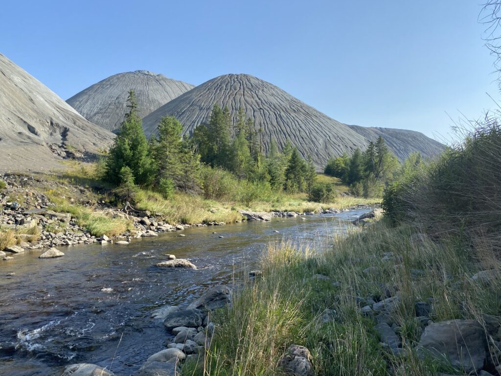 Cours d'eau naturel avec berges rocheuses et végétation riveraine, illustrant les processus géomorphologiques d'érosion visibles sur les versants en arrière-plan — Rivière Bécancour, Québec.